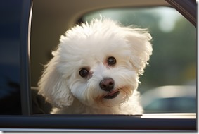 Photo of funny friendly dog looking out of the car window made by generative AI technology