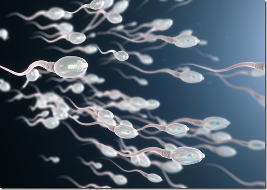 3d illustration of sperm cells moving to the right 