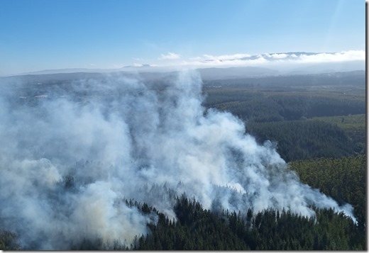 Incendios en Los Álamos