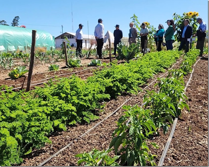 Agroecología 113