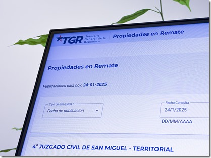 Imagen sitio web plataforma de remates TGR