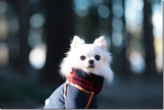 AdobeStock_205720713