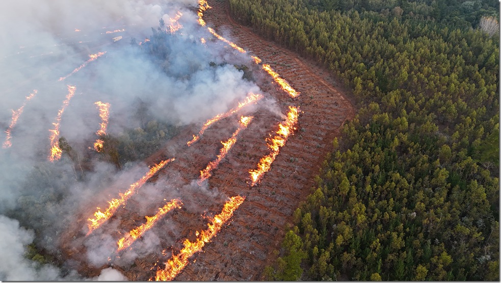 Fuego Técnico 5