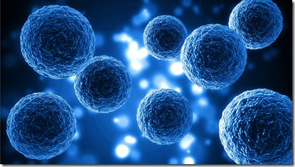 imagen referencial - celulas T referencial