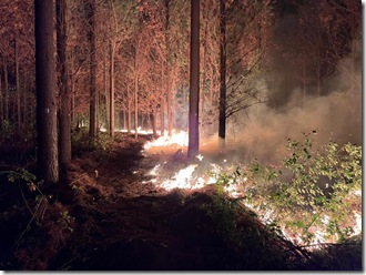 Corma alerta aumento incendios en Biobío (1)