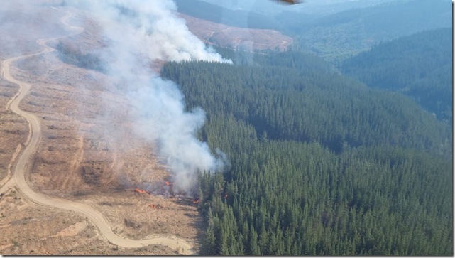 Corma alerta aumento incendios en Biobío (3)