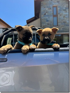 WhatsApp Image 2025-11-19 at 3.17.51 PM