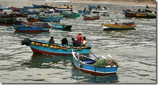 botespescadores-620x330