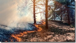 imagen referencial - incendio forestal referencial