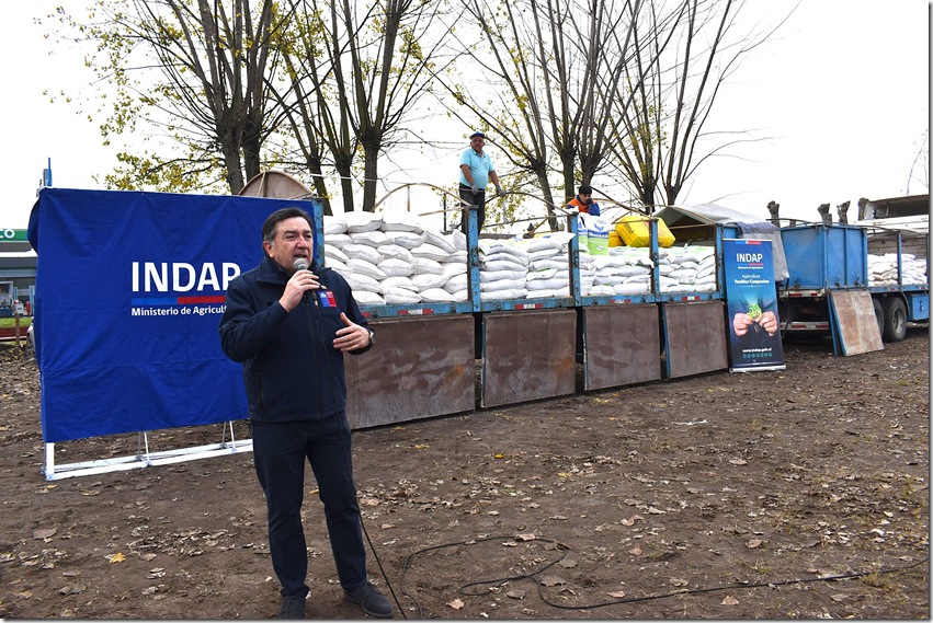 DIRECTOR REGIONAL DE INDAP